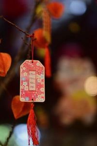 trc20 usdt Debet